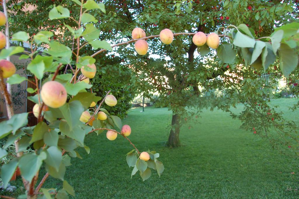 B&B Cherry En Rose Лецено Стая снимка