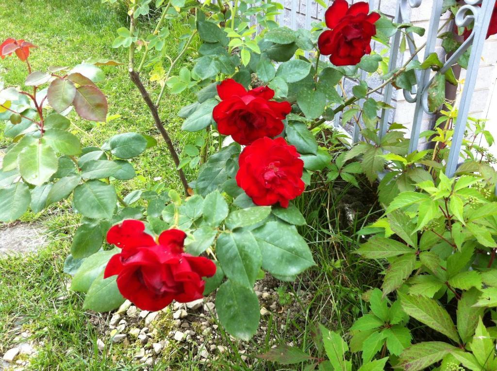 B&B Cherry En Rose Лецено Екстериор снимка